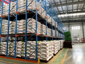 Heavy Duty Radio Shuttle Racking for Cold Storage
